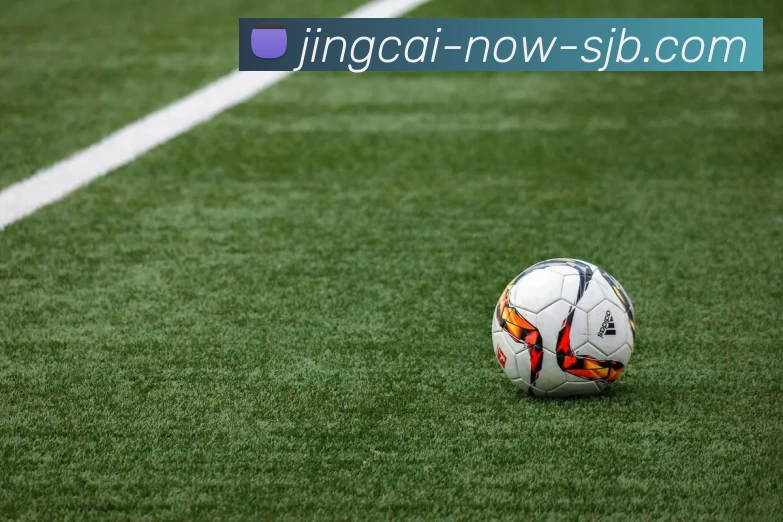 竞彩网，竞彩网官网，竞彩网官方网站，竞彩网入口，竞彩网APP品牌故事